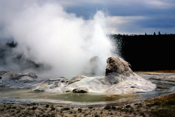 20000801   Yellowstone 044